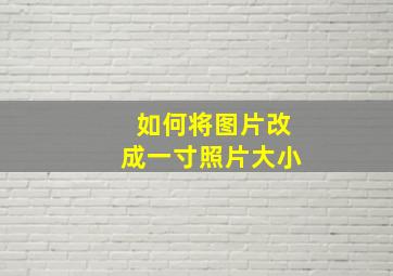 如何将图片改成一寸照片大小