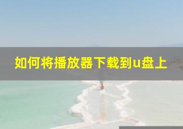 如何将播放器下载到u盘上