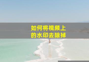 如何将视频上的水印去除掉