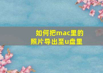 如何把mac里的照片导出至u盘里