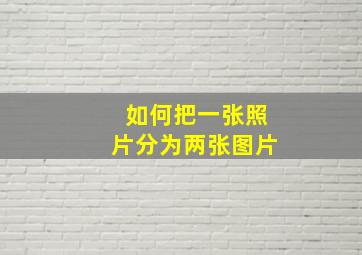 如何把一张照片分为两张图片