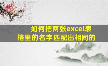 如何把两张excel表格里的名字匹配出相同的