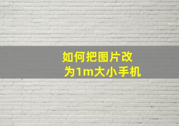 如何把图片改为1m大小手机