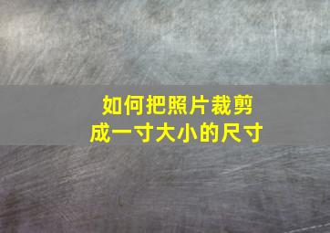 如何把照片裁剪成一寸大小的尺寸