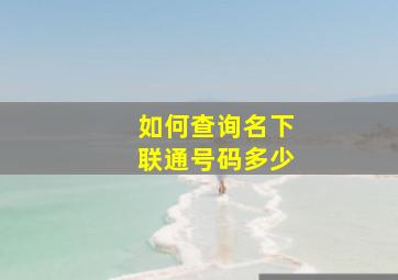 如何查询名下联通号码多少