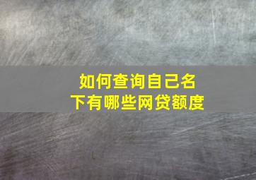 如何查询自己名下有哪些网贷额度