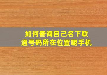 如何查询自己名下联通号码所在位置呢手机