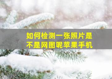 如何检测一张照片是不是网图呢苹果手机