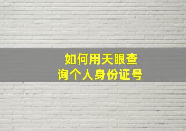 如何用天眼查询个人身份证号