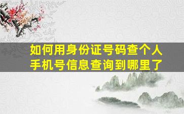 如何用身份证号码查个人手机号信息查询到哪里了