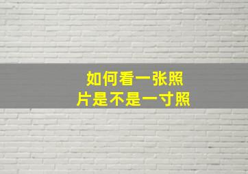 如何看一张照片是不是一寸照