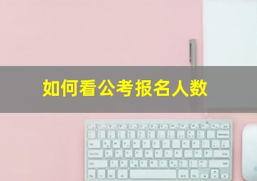 如何看公考报名人数