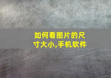 如何看图片的尺寸大小,手机软件