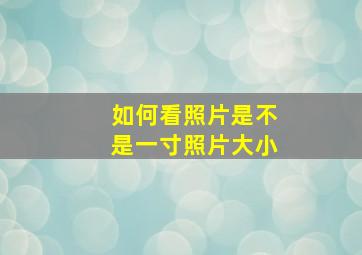 如何看照片是不是一寸照片大小