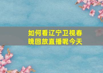 如何看辽宁卫视春晚回放直播呢今天