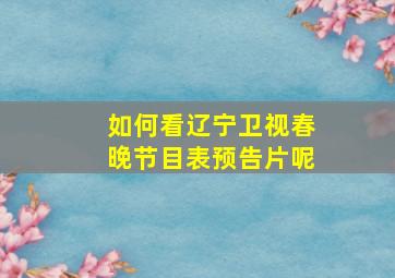 如何看辽宁卫视春晚节目表预告片呢