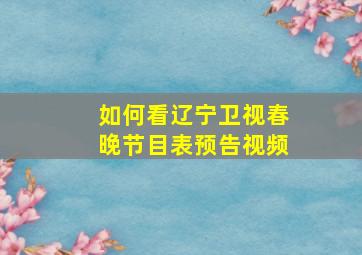 如何看辽宁卫视春晚节目表预告视频