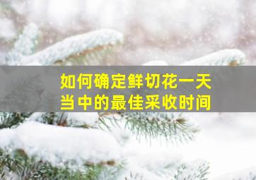 如何确定鲜切花一天当中的最佳采收时间