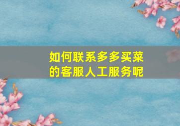 如何联系多多买菜的客服人工服务呢