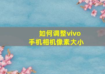 如何调整vivo手机相机像素大小