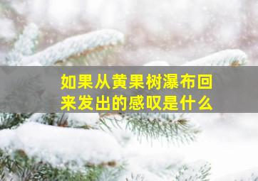 如果从黄果树瀑布回来发出的感叹是什么