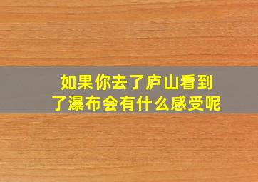 如果你去了庐山看到了瀑布会有什么感受呢