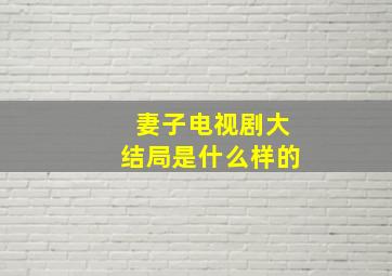 妻子电视剧大结局是什么样的