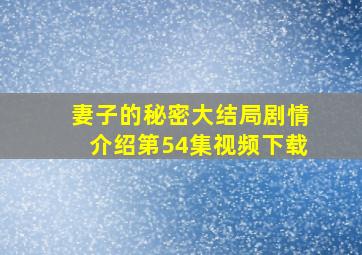 妻子的秘密大结局剧情介绍第54集视频下载