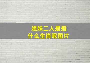 姐妹二人是指什么生肖呢图片