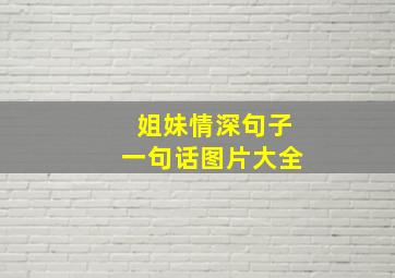 姐妹情深句子一句话图片大全