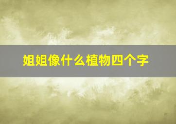 姐姐像什么植物四个字