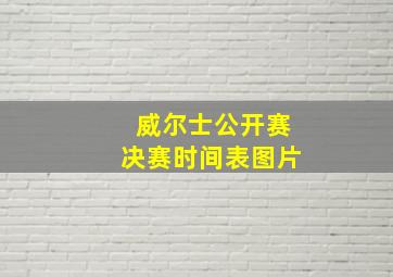 威尔士公开赛决赛时间表图片