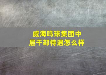 威海鸣球集团中层干部待遇怎么样