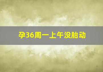 孕36周一上午没胎动