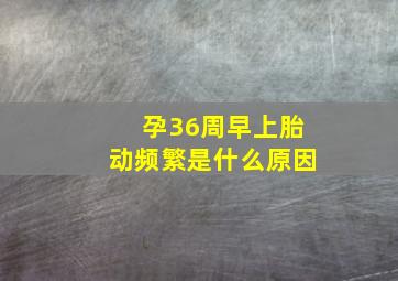 孕36周早上胎动频繁是什么原因