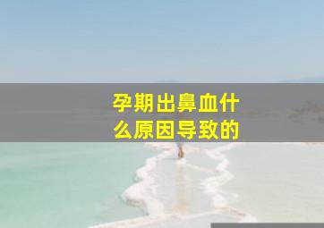 孕期出鼻血什么原因导致的