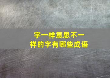 字一样意思不一样的字有哪些成语