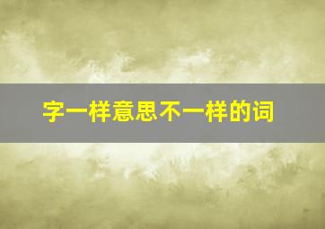 字一样意思不一样的词