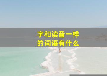 字和读音一样的词语有什么