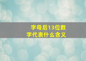 字母后13位数字代表什么含义