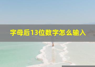 字母后13位数字怎么输入