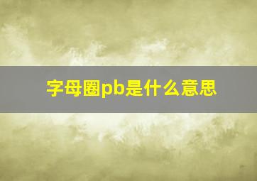 字母圈pb是什么意思