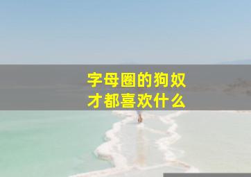 字母圈的狗奴才都喜欢什么