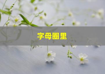 字母圈里