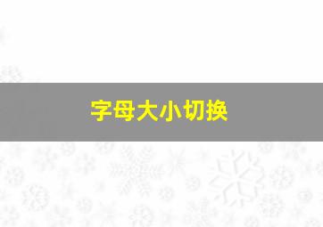 字母大小切换