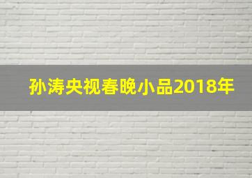 孙涛央视春晚小品2018年