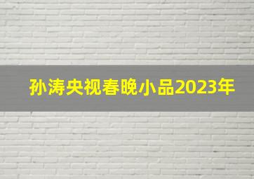 孙涛央视春晚小品2023年