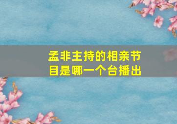 孟非主持的相亲节目是哪一个台播出