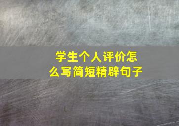 学生个人评价怎么写简短精辟句子