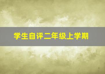 学生自评二年级上学期